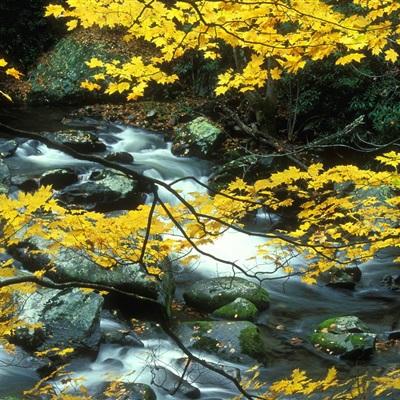 金年会手机app官方下载